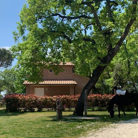 Casina Miriano Βίλα Castiglione del Lago Εξωτερικό φωτογραφία