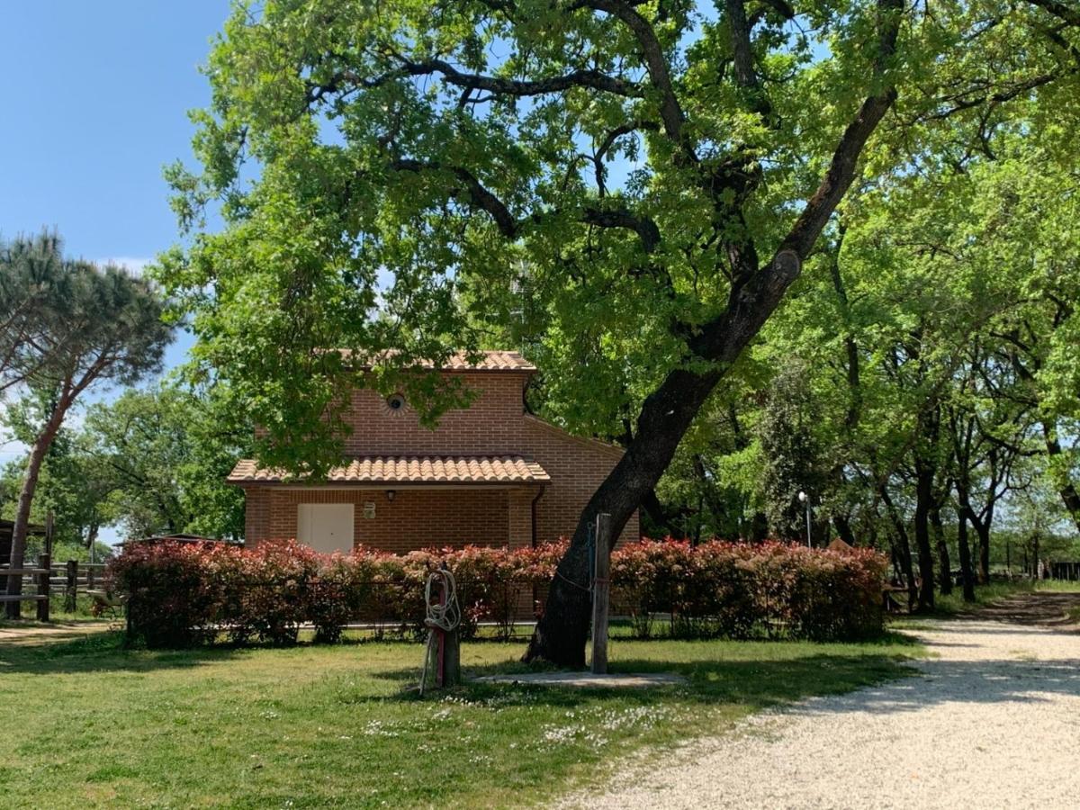 Casina Miriano Βίλα Castiglione del Lago Εξωτερικό φωτογραφία